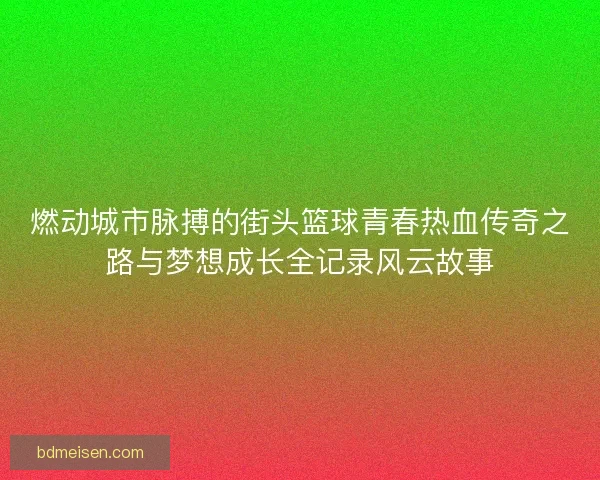 燃动城市脉搏的街头篮球青春热血传奇之路与梦想成长全记录风云故事