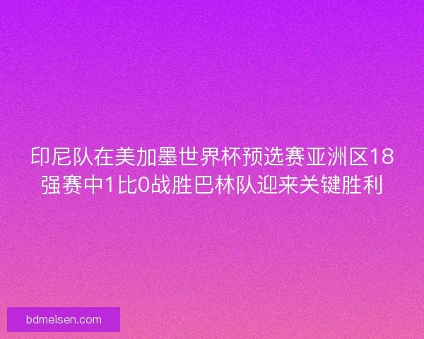 印尼队在美加墨世界杯预选赛亚洲区18强赛中1比0战胜巴林队迎来关键胜利